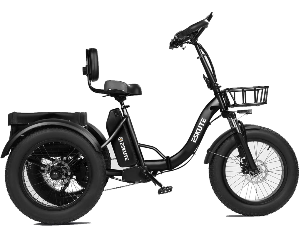 cargo e-bike eskute
